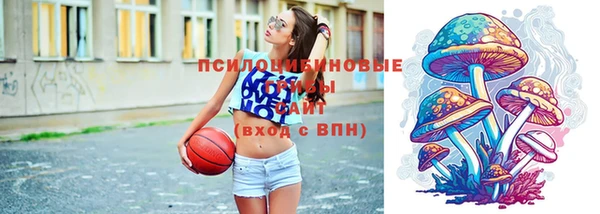 спиды Абинск